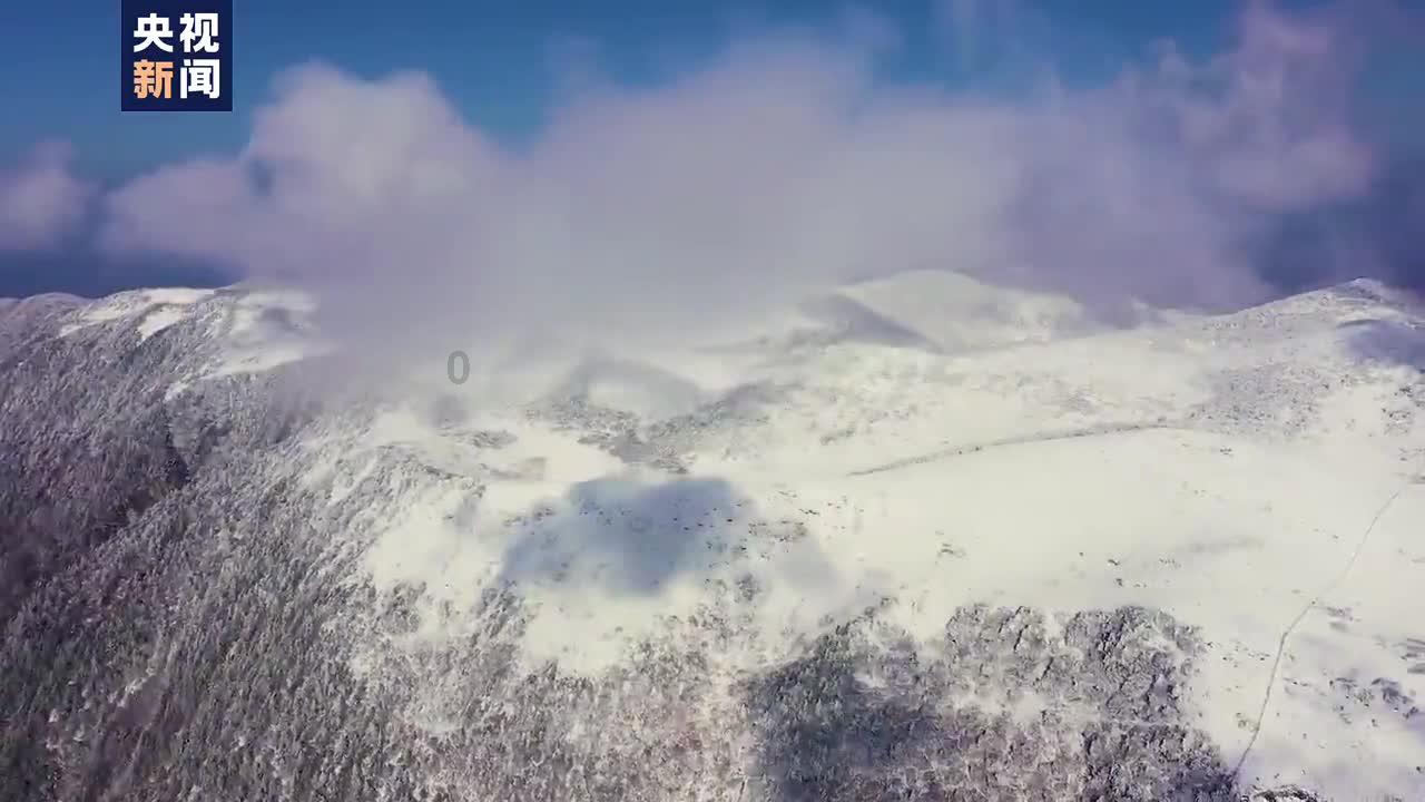 外星小怪大冒险