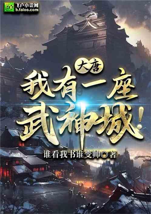 维京人之战