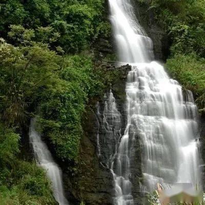 燃烧吧大脑装瓶子游戏